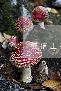 征信上有8次逾期记录 征信上有8次逾期记录