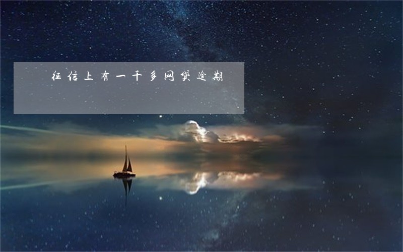 征信上有一千多网贷逾期 征信上有一千多网贷逾期