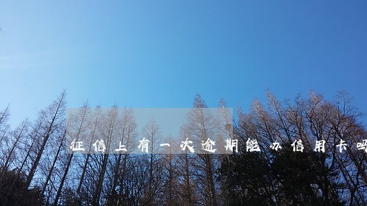征信上有一次逾期能办信用卡吗 征信上有一次逾期能办信用卡吗