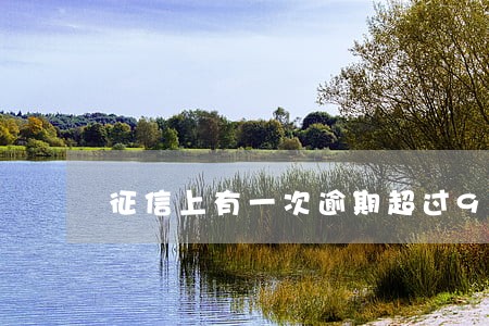 征信上有一次逾期超过90天 征信上有一次逾期超过90天