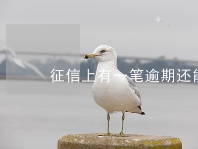 征信上有一笔逾期还能贷款不 征信上有一笔逾期还能贷款不