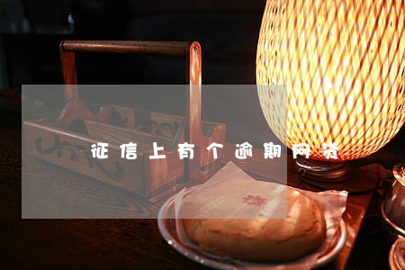 征信上有个逾期网贷 征信上有个逾期网贷