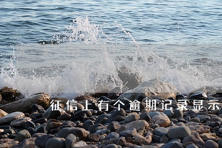 征信上有个逾期记录显示1 征信上有个逾期记录显示1