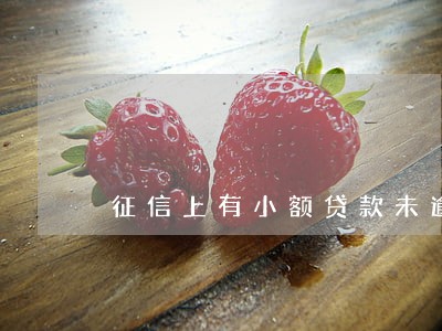 征信上有小额贷款未逾期 征信上有小额贷款未逾期