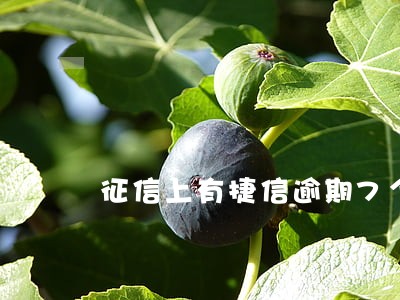 征信上有捷信逾期7个月严重吗 征信上有捷信逾期7个月严重吗