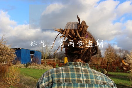 征信上有网贷逾期 征信上有网贷逾期