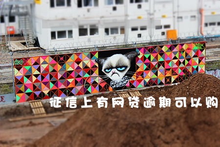 征信上有网贷逾期可以购房 征信上有网贷逾期可以购房