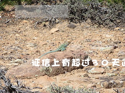 征信上有超过30天逾期 征信上有超过30天逾期
