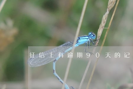 征信上有逾期90天的记录 征信上有逾期90天的记录