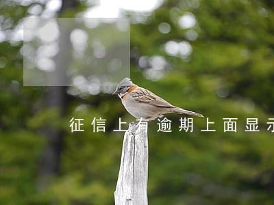 征信上有逾期上面显示7 征信上有逾期上面显示7