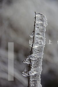 征信上有逾期不能办信用卡吗 征信上有逾期不能办信用卡吗