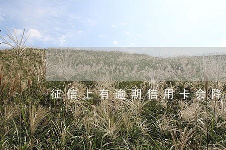 征信上有逾期信用卡会降额吗 征信上有逾期信用卡会降额吗