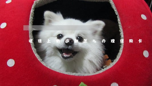 征信上有逾期怎么办理信用卡 征信上有逾期怎么办理信用卡