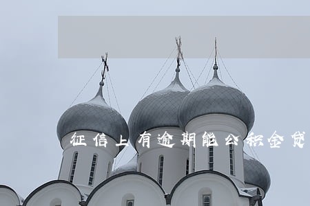 征信上有逾期能公积金贷款吗 征信上有逾期能公积金贷款吗