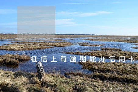 征信上有逾期能办信用卡么