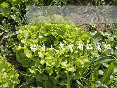 征信上有逾期记录能办信用卡吗 征信上有逾期记录能办信用卡吗