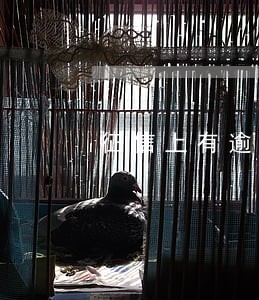 征信上有逾期记录还能贷款吗 征信上有逾期记录还能贷款吗