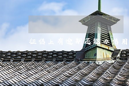 征信上有逾期还能办信用卡吗 征信上有逾期还能办信用卡吗