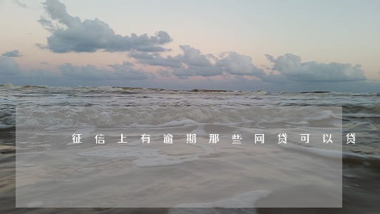 征信上有逾期那些网贷可以贷 征信上有逾期那些网贷可以贷