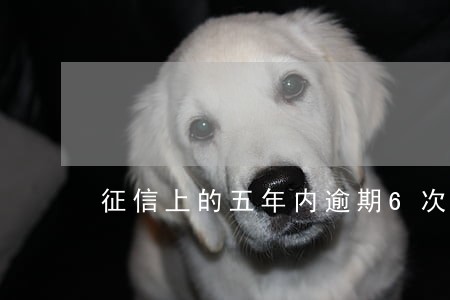 征信上的五年内逾期6次 征信上的五年内逾期6次