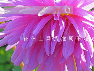 征信上网货逾期不超过90天 征信上网货逾期不超过90天