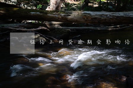 征信上网贷逾期会影响信用吗 征信上网贷逾期会影响信用吗