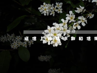 征信上网贷逾期和信用卡逾期 征信上网贷逾期和信用卡逾期