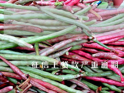 征信上贷款严重逾期 征信上贷款严重逾期