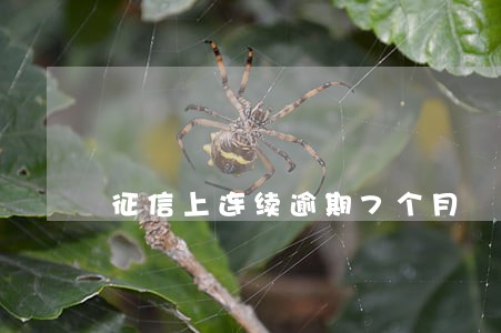 征信上连续逾期7个月 征信上连续逾期7个月