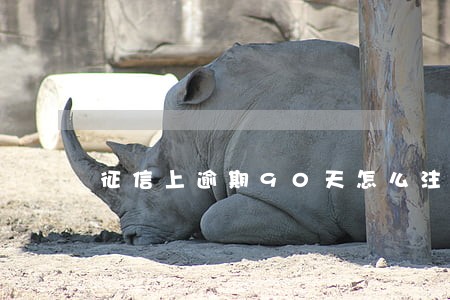 征信上逾期90天怎么注销 征信上逾期90天怎么注销