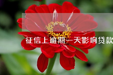 征信上逾期一天影响贷款吗