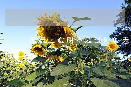 征信上逾期不超过90天