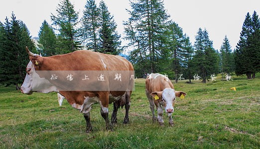 征信上逾期几年内不给贷款 征信上逾期几年内不给贷款