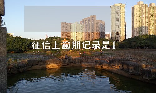 征信上逾期记录是1 征信上逾期记录是1