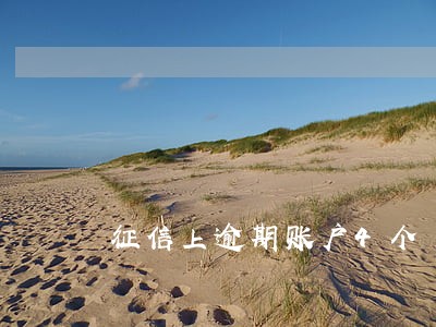 征信上逾期账户4个 征信上逾期账户4个
