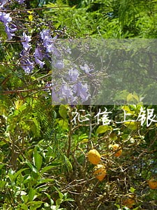 征信上银行有严重逾期 征信上银行有严重逾期