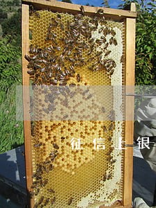 征信上银行逾期一次 征信上银行逾期一次