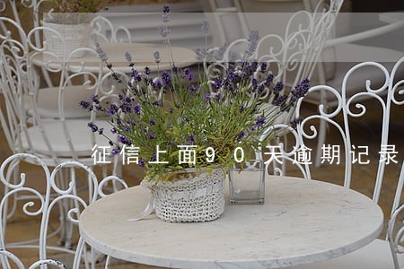 征信上面90天逾期记录 征信上面90天逾期记录