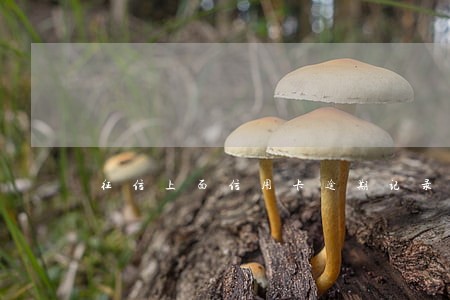 征信上面信用卡逾期记录 征信上面信用卡逾期记录