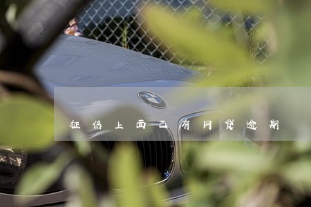 征信上面已有网贷逾期 征信上面已有网贷逾期