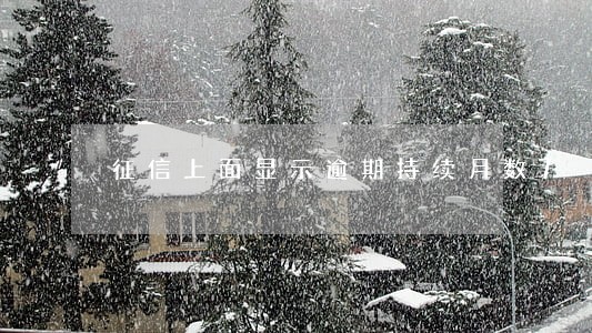 征信上面显示逾期持续月数7 征信上面显示逾期持续月数7