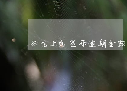 征信上面显示逾期金额7是啥 征信上面显示逾期金额7是啥