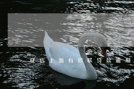 征信上面有招联贷款逾期 征信上面有招联贷款逾期