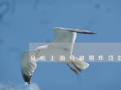 征信上面有逾期咋贷款 征信上面有逾期咋贷款