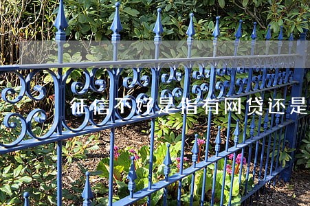征信不好是指有网贷还是有逾期 征信不好是指有网贷还是有逾期