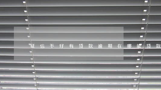 征信不好有贷款逾期在哪能贷款