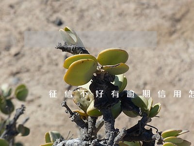征信不好有逾期信用怎么能养好 征信不好有逾期信用怎么能养好