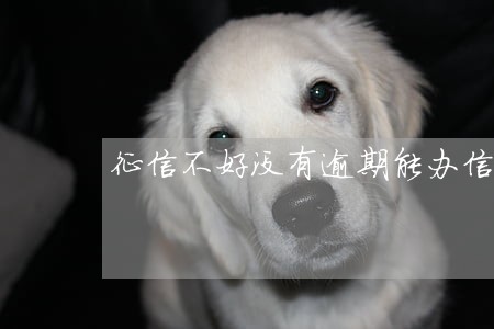 征信不好没有逾期能办信用卡吗 征信不好没有逾期能办信用卡吗