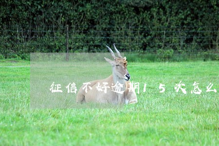 征信不好逾期15次怎么买房 征信不好逾期15次怎么买房
