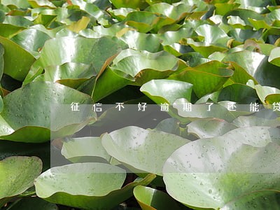 征信不好逾期了还能贷款吗 征信不好逾期了还能贷款吗